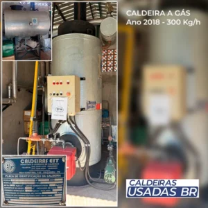 Caldeira Usada Vertical a Gás EIT 300 Kg/h