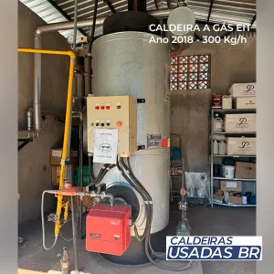 Caldeira Usada Vertical a Gás EIT 300 Kg/h