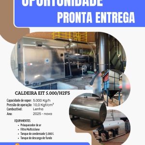 Caldeira EIT 5.000 kgh  Lenha  2025  - NOVA